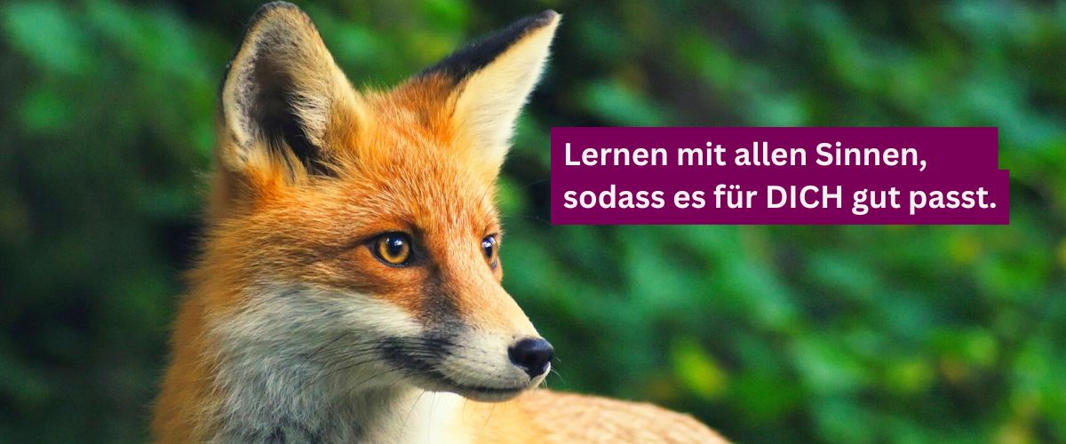 Lerncoaching: Lernen mit allen Sinnen, sodass es für DICH passt